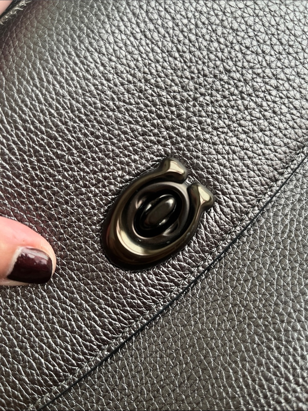 Coach Cassie Crossbody / Metallic Graphite & Novelty Strap - Picture 11 of 17
